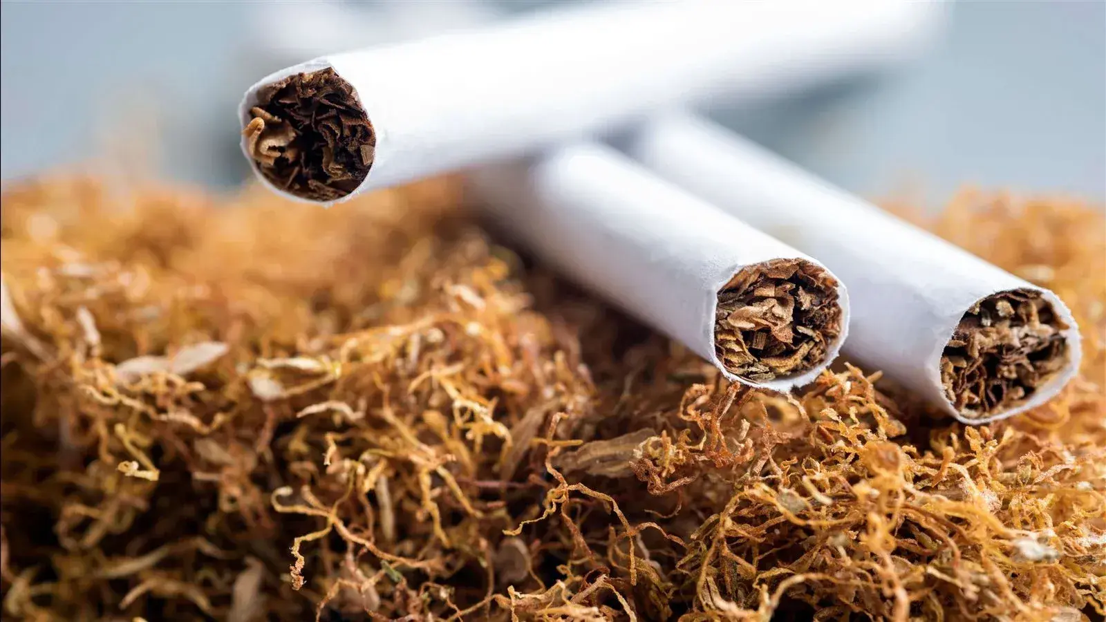 أسعار السجائر الجديدة سبتمبر 2022: زادت 3 جنيه
