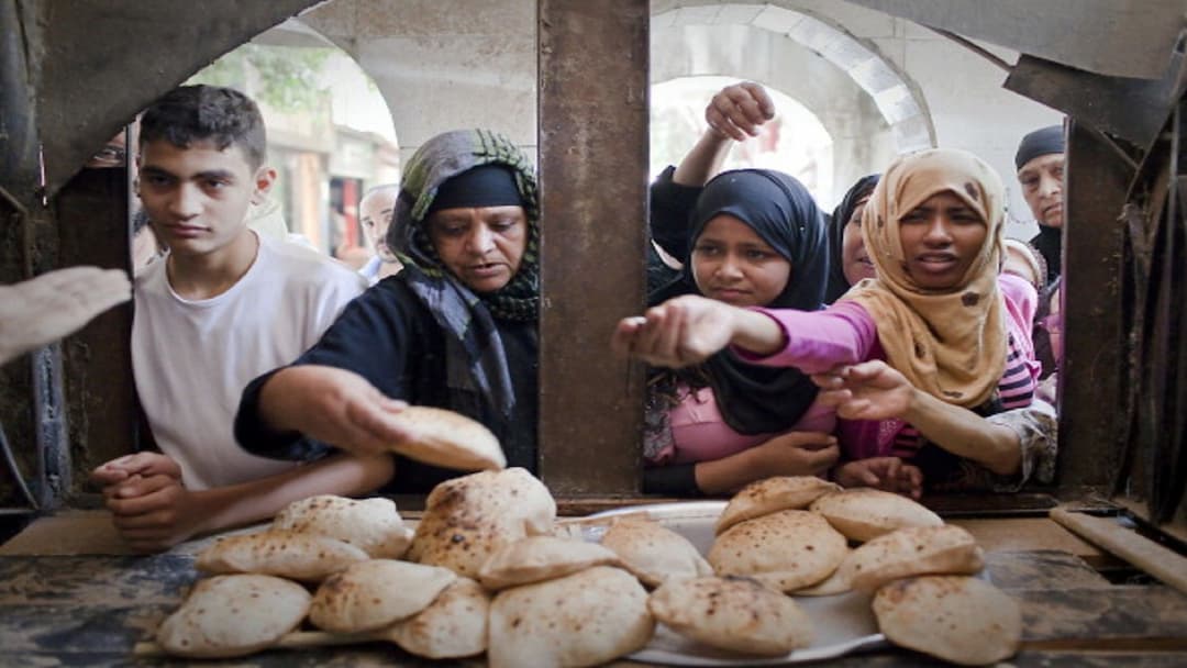 ازاي خبز البطاطا هيوفر مليون طن قمح سنويًا في مصر؟
